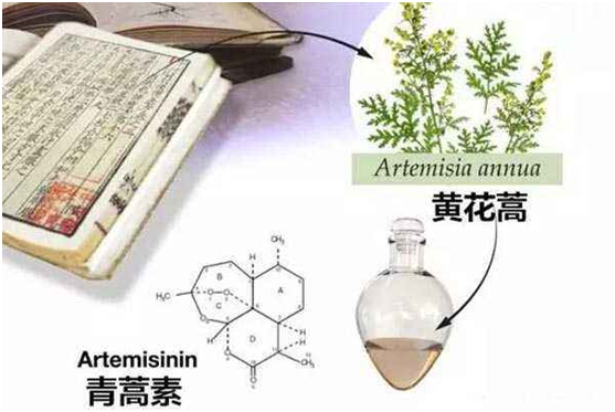 安博(中国)Anbo·官方网站,：向中医药看齐，与世界共享中医药文化(图1)