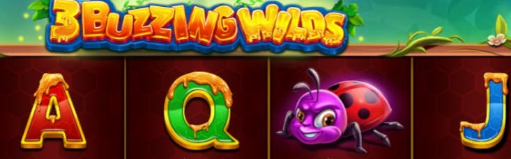 jogos win